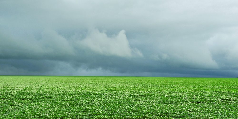 chuva tempo clima