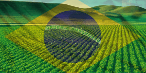 brasil