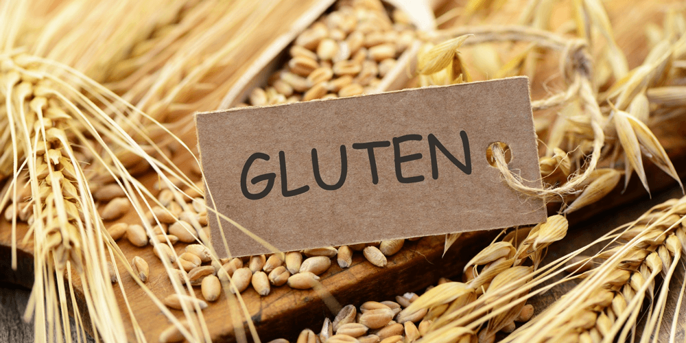 trigo gluten