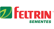 feltrin185x100px
