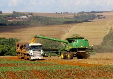 Melhora safra de soja e milho no Paraná